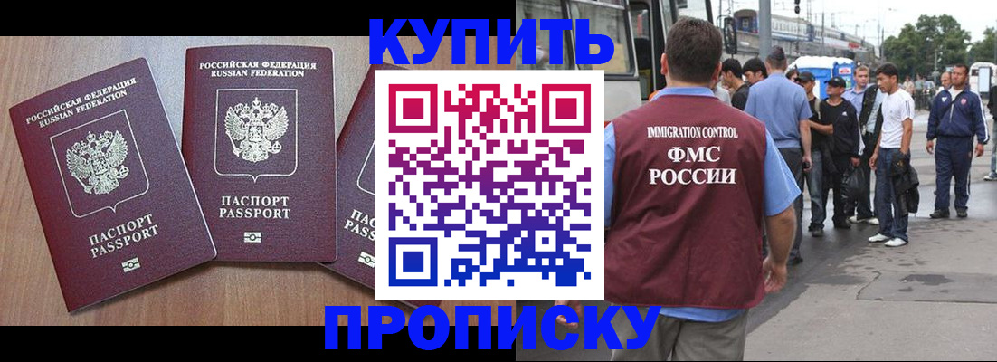 прописка 2025 в Клинцах